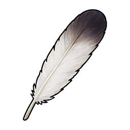 Seagull Feather