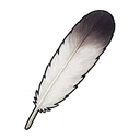 Seagull Feather