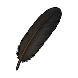 Crow Feather