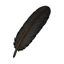 Crow Feather