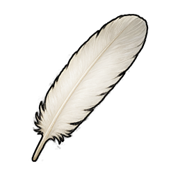 Chicken Feather