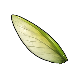 Gleaming Insect Wing