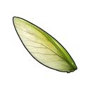 Gleaming Insect Wing