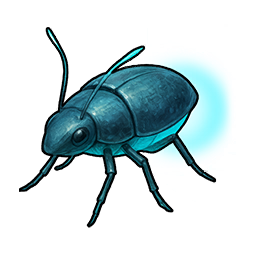 Spirit Firefly