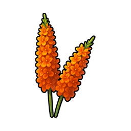 Dragon Plant