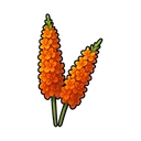 Dragon Plant