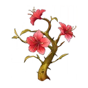 Sandflower