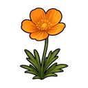Bigmoss Young Flower