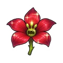 Shining Screamer Flower