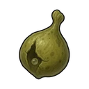 Torn Vocal Sac
