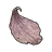 Withered Flower Petals