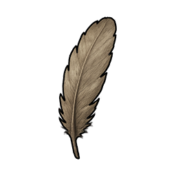 Broken Feather