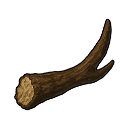 Broken Deer Antler