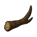 Broken Deer Antler