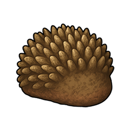 Blunt Quill