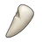 Blunt Rabbit Tooth
