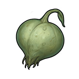 Unripe Screamer Fruit