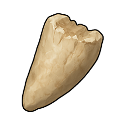 Small Hatchling Tooth