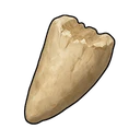 Small Hatchling Tooth