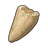Small Hatchling Tooth