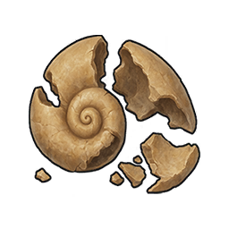 Broken Shell