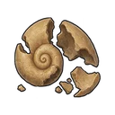 Broken Shell