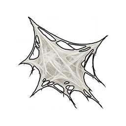 Frayed Spider Web