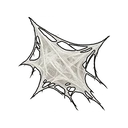 Frayed Spider Web