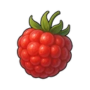 Zephyr Raspberry