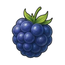 Jet-black Blackberry