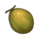 Palm Fruit