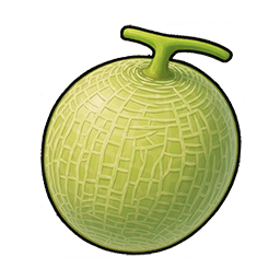 Melon