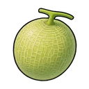 Melon
