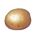 Potato