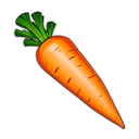 Carrot