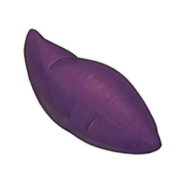 Sweet Potato