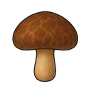 Shiitake Mushroom