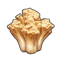 Clustered Coral