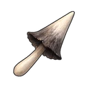 Shaggy Mane