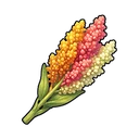 Quinoa