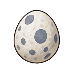 Seagull Egg