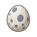 Seagull Egg