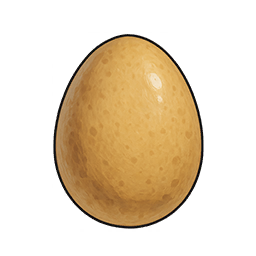 Pigeon Egg