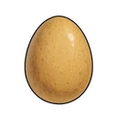 Pigeon Egg