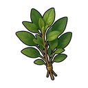 Herbs