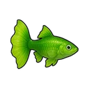Candy Guppy