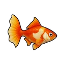 Silk Guppy