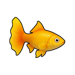 Amber Guppy