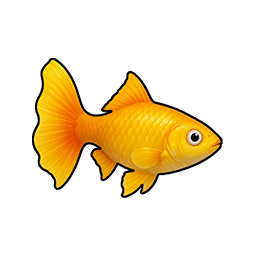 Amber Guppy