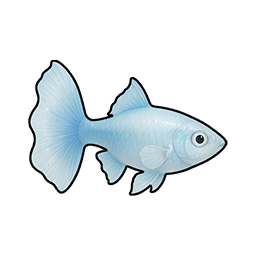 Sapphire Guppy